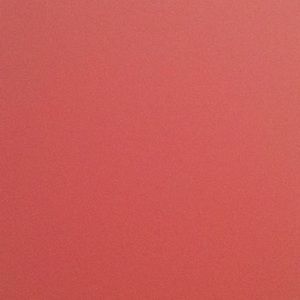 Meet your Posher, Brittney